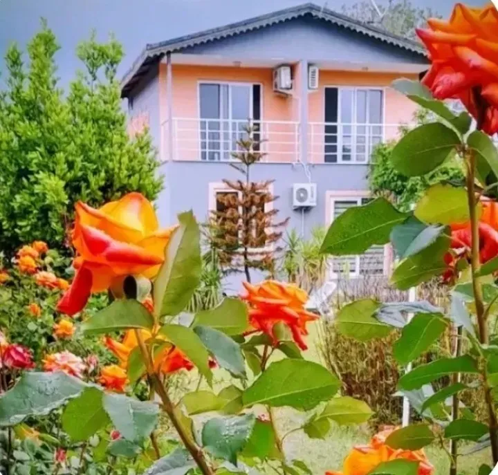 Nostalgia World Boutique Hotel Antalya kedi ve köpek oteli - Galeri görseli 10/27 | PawBooking