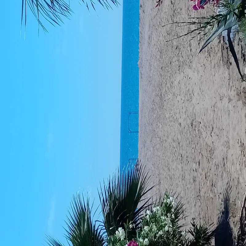 Nostalgia World Boutique Hotel Antalya kedi ve köpek oteli - Galeri görseli 12/27 | PawBooking