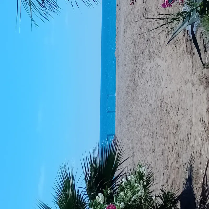 Nostalgia World Boutique Hotel Antalya kedi ve köpek oteli - Galeri görseli 13/27 | PawBooking