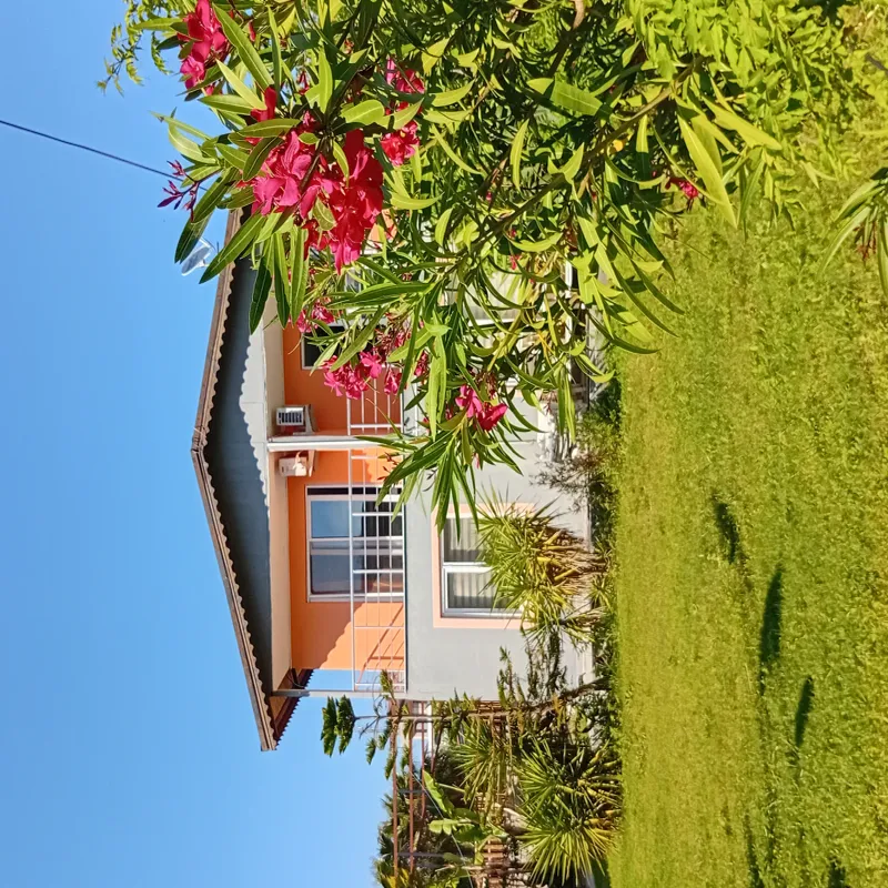 Nostalgia World Boutique Hotel Antalya kedi ve köpek oteli - Galeri görseli 24/27 | PawBooking