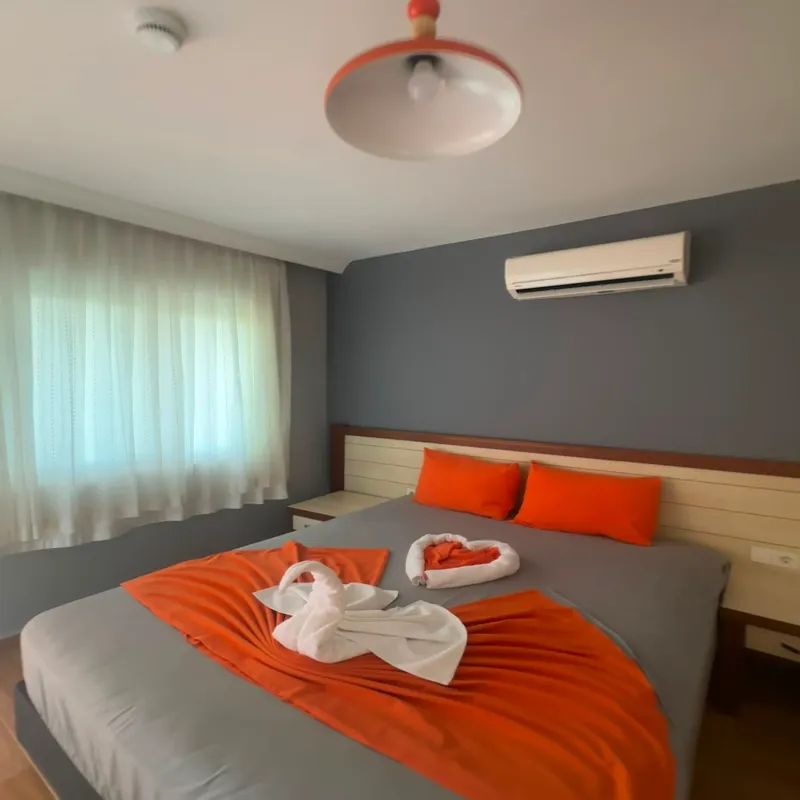 Nostalgia World Antalya kedi ve köpek oteli - Galeri görseli 29/43 | PawBooking