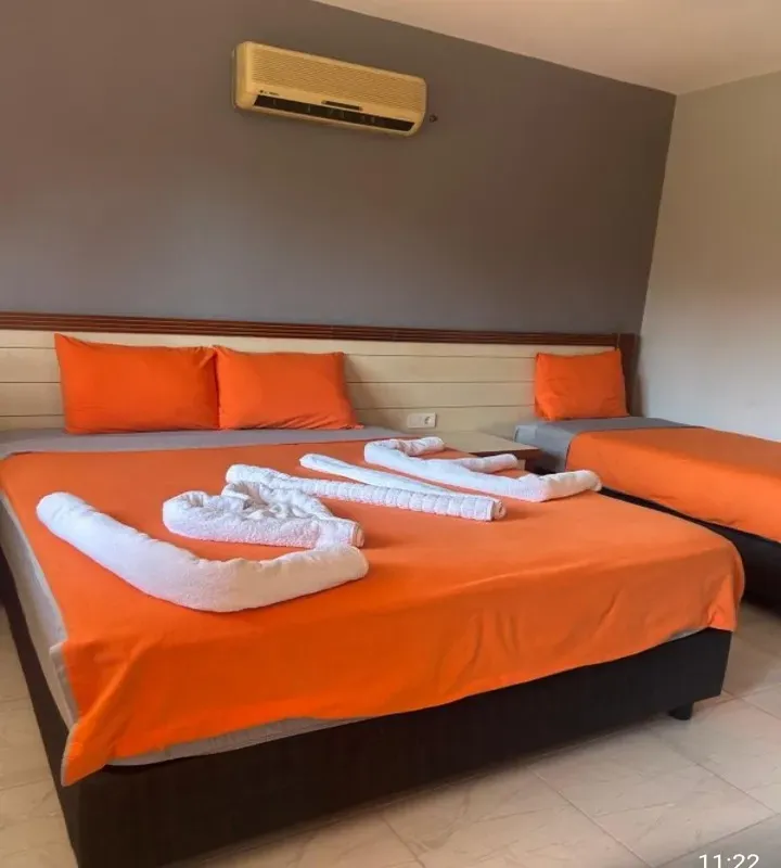 Nostalgia World Antalya kedi ve köpek oteli - Galeri görseli 31/43 | PawBooking