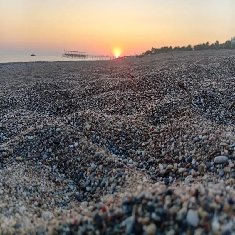 Nostalgia World Antalya kedi ve köpek oteli - Galeri görseli 34/43 | PawBooking