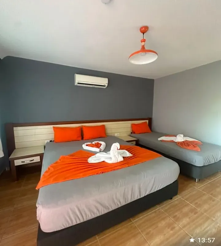 Nostalgia World Antalya kedi ve köpek oteli - Galeri görseli 36/43 | PawBooking