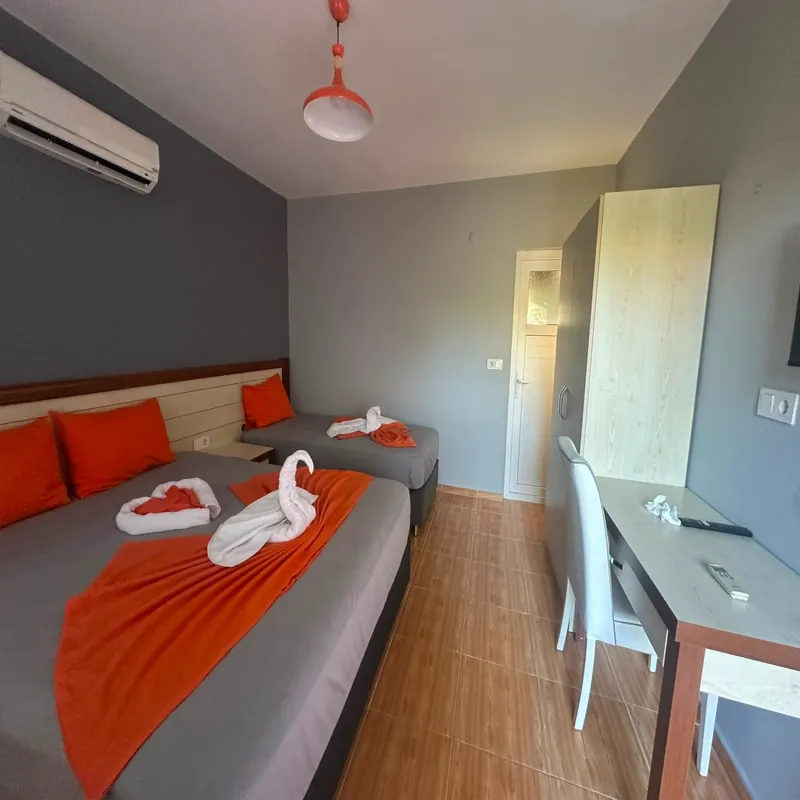 Nostalgia World Antalya kedi ve köpek oteli - Galeri görseli 35/43 | PawBooking