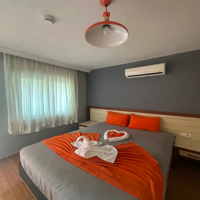 Nostalgia World Antalya kedi ve köpek oteli - Galeri görseli 37/43 | PawBooking