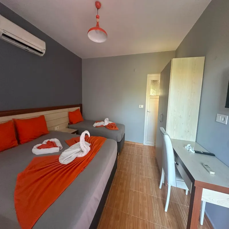 Nostalgia World Antalya kedi ve köpek oteli - Galeri görseli 38/43 | PawBooking