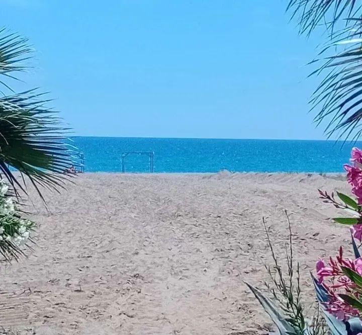 Nostalgia World Antalya kedi ve köpek oteli - Galeri görseli 42/43 | PawBooking