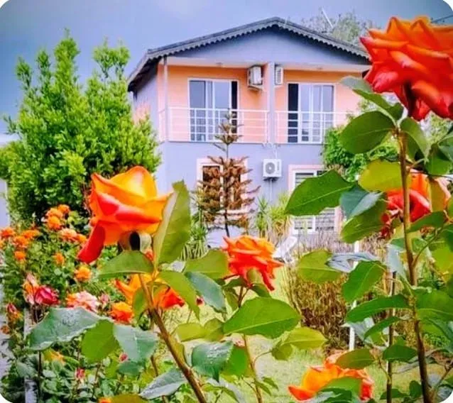 Nostalgia World Antalya kedi ve köpek oteli - Galeri görseli 43/43 | PawBooking