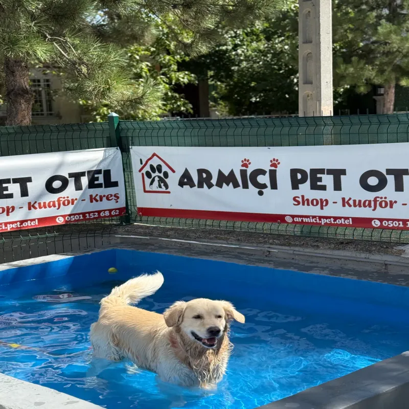 Armiçi Pet Otel Isparta kedi ve köpek oteli - Galeri görseli 4/15 | PawBooking