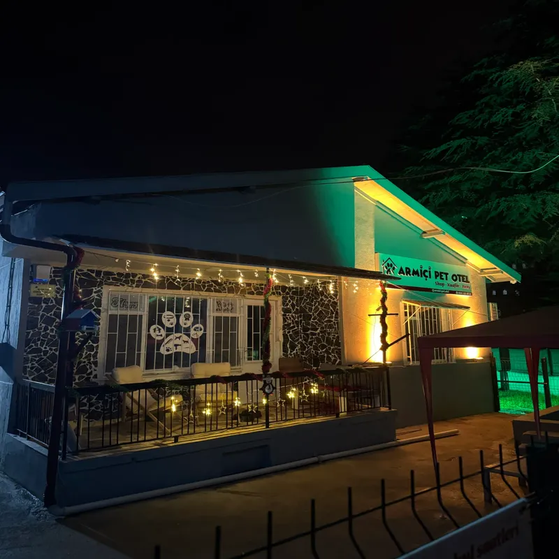 Armiçi Pet Otel Isparta kedi ve köpek oteli - Galeri görseli 7/15 | PawBooking