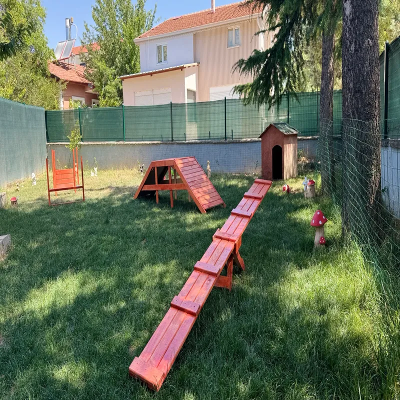 Armiçi Pet Otel Isparta kedi ve köpek oteli - Galeri görseli 6/15 | PawBooking