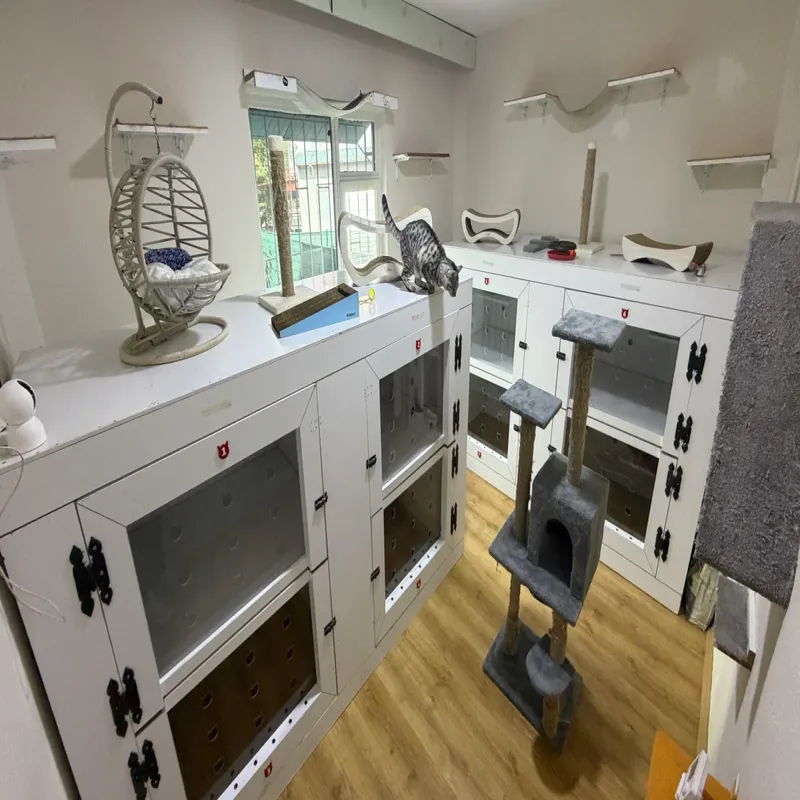 Armiçi Pet Otel Isparta kedi ve köpek oteli - Galeri görseli 9/15 | PawBooking