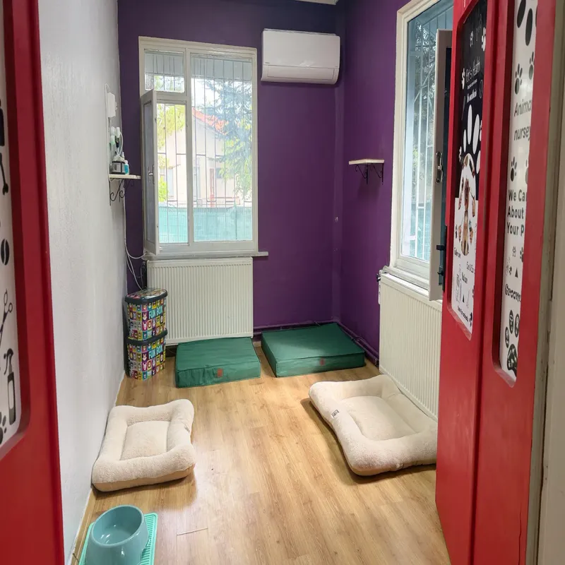 Armiçi Pet Otel Isparta kedi ve köpek oteli - Galeri görseli 15/15 | PawBooking
