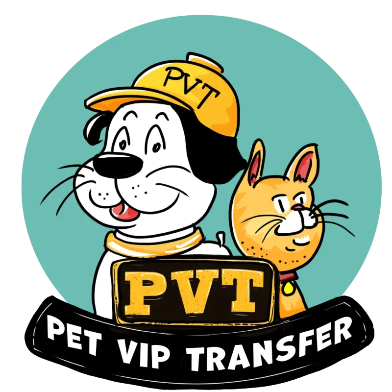 Petvip Transfer
